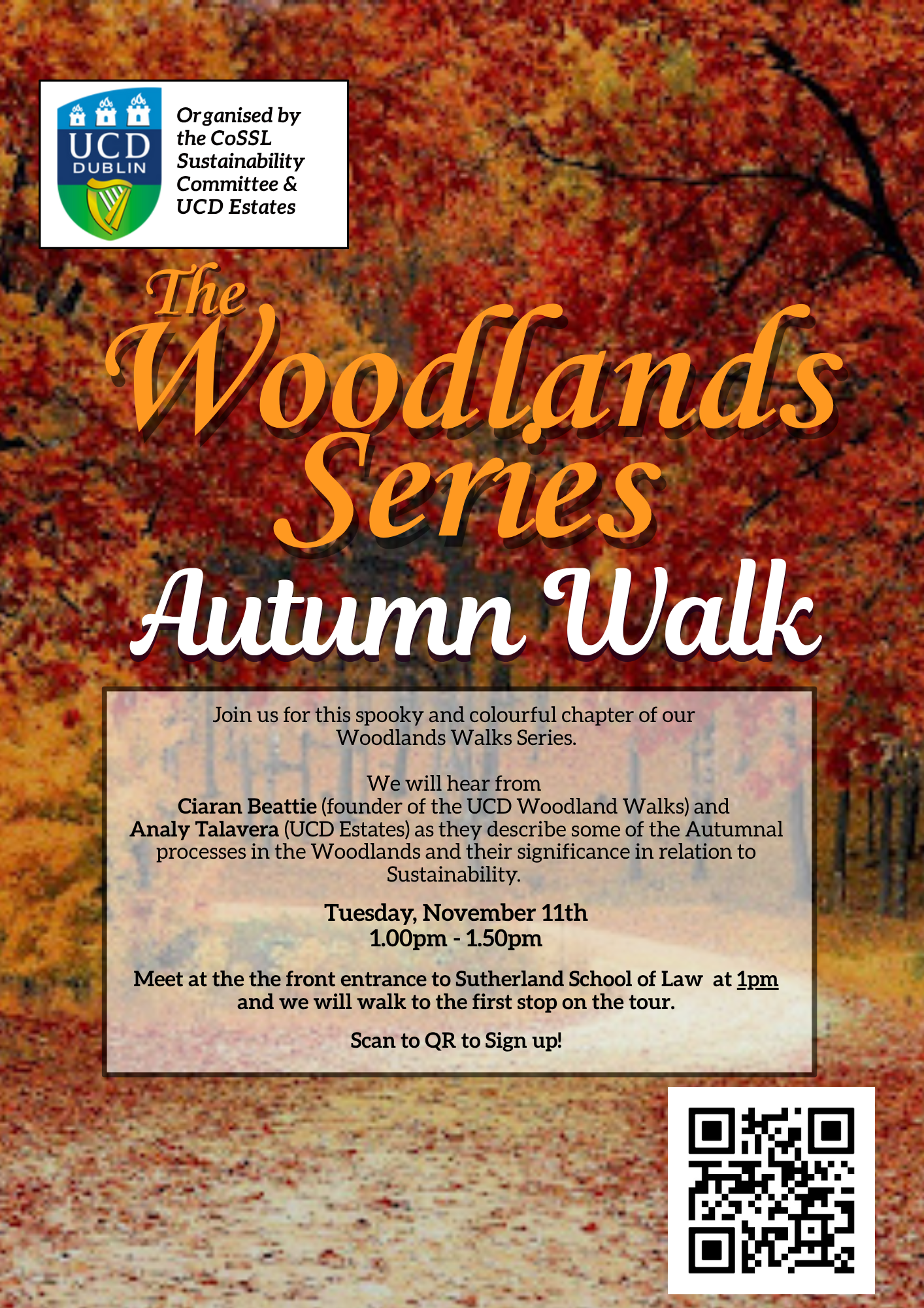 Woodlands Autumn new